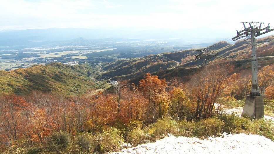 紅葉と雪のコラボレーション