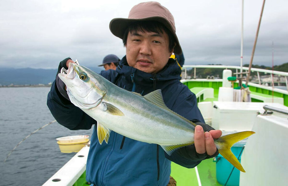 立派でおいしいイナダをお手軽に！