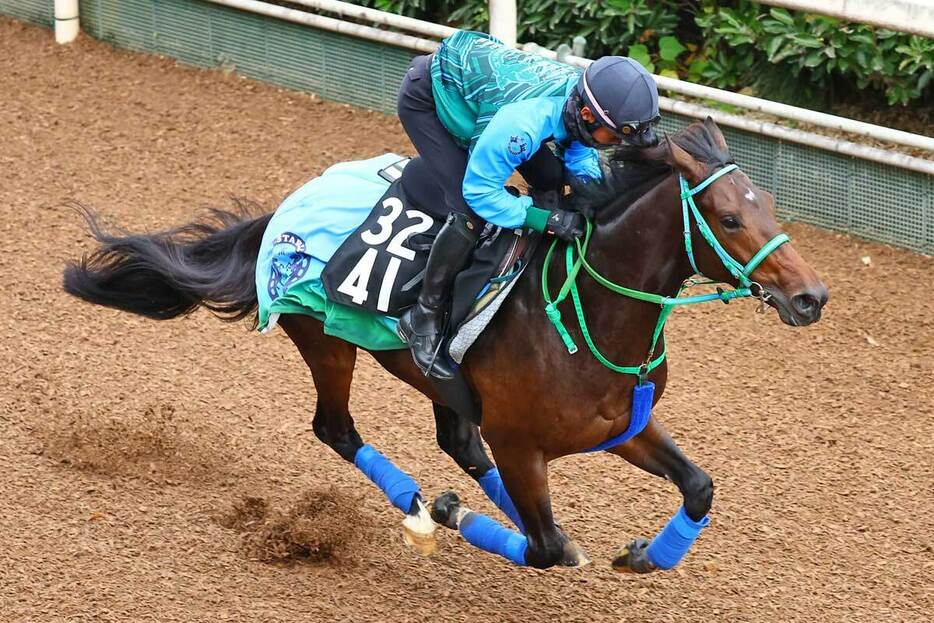 陣営も大きな期待を寄せるサラコスティ