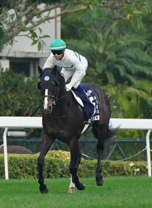 昨年の香港マイルでは4着に敗れたソウルラッシュ＝香港のシャティン競馬場（沙田競馬場）（撮影・岩川晋也）