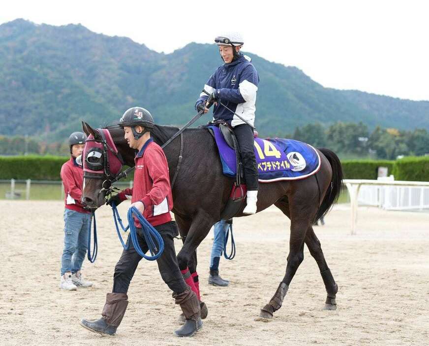 ペプチドナイル＝栗東トレセン（撮影・岩川晋也）