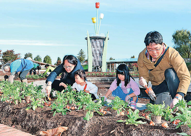 花壇に球根を植える参加者