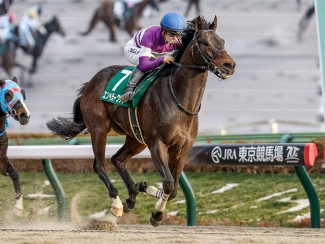 武蔵野Sに出走予定のエンペラーワケア(撮影：下野雄規)