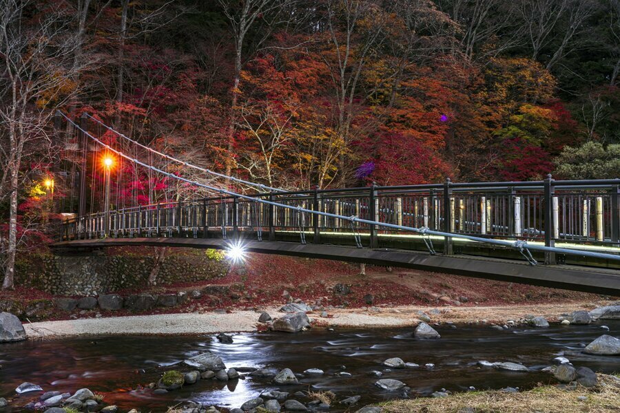 紅葉のベストタイミングに撮影した「紅の吊橋」と箒川の夜景（2022年撮影：杉村航）