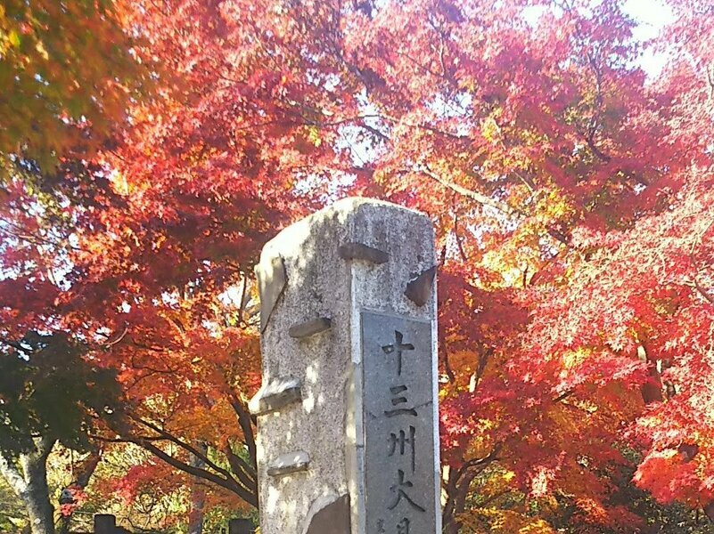 高尾山山頂を覆うような、美しく真っ赤な紅葉