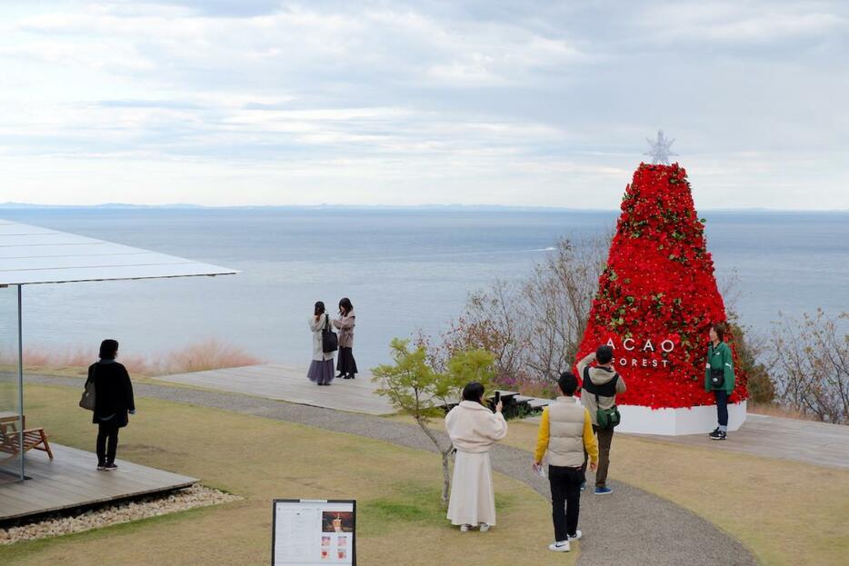 オーシャンデッキに設置されたクリスマスツリーで撮影する来場者