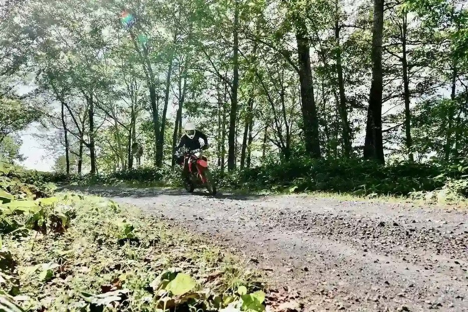 よく晴れ渡った秋の北海道の林道を快走