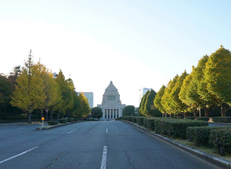 国会議事堂周辺のイチョウ並木で紅葉始まる　果肉に包まれたギンナンも