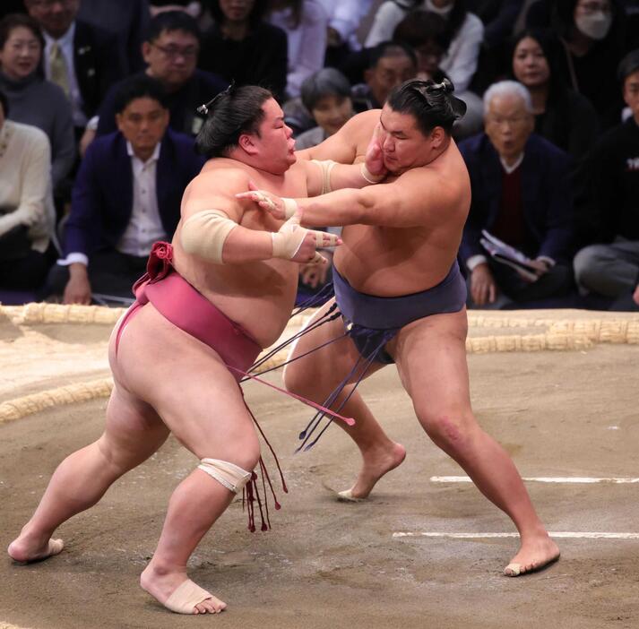 　九州場所で前に攻める姿勢を見せた豊昇龍（右）＝２０日、大栄翔との取組から