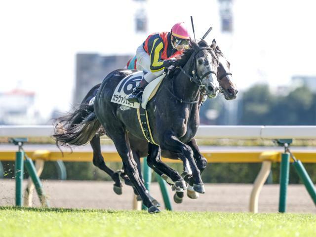 東京4Rの新馬戦を制したカラヴァジェスティ(撮影：下野雄規)