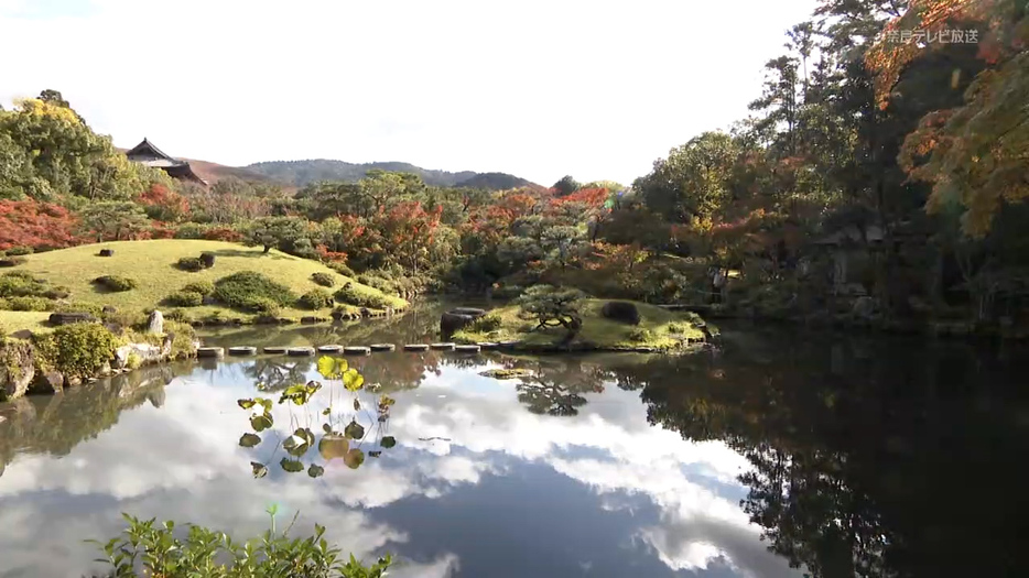 名勝・依水園