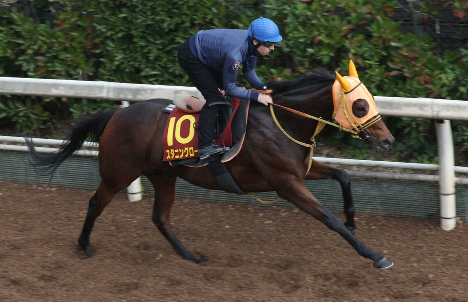 C・デムーロ騎手を背に坂路で追い切るスタニングローズ（撮影・亀井直樹）　