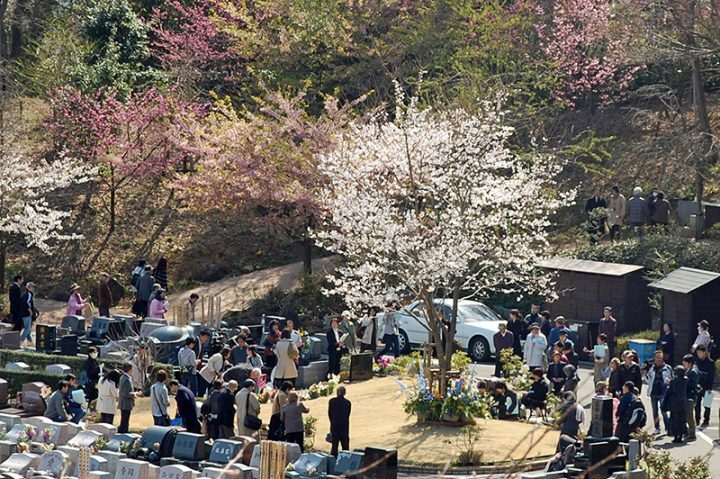 エンディングセンターが行う合同祭祀「桜葬メモリアル」。年に1度、桜が咲く春に会員が集い、故人をしのぶ（写真提供／エンディングセンター）