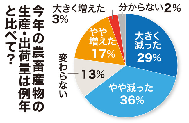 今年の農畜産物の生産・出荷量