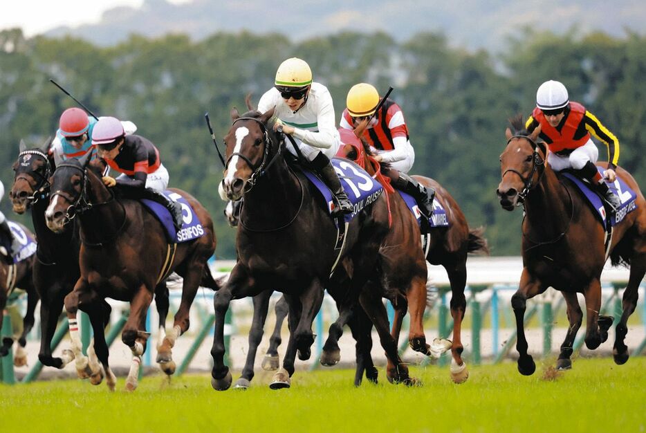 中団から脚を伸ばすソウルラッシュ（中央）＝京都競馬場