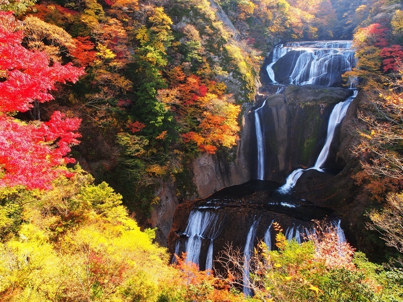 色とりどりの紅葉に包まれる袋田の滝