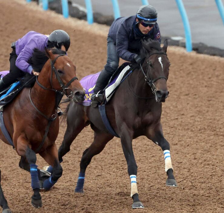 スターズオンアース（右）はモタれ癖をのぞかせずに僚馬にクビ差先着＝美浦トレセン、撮影・塩浦孝明