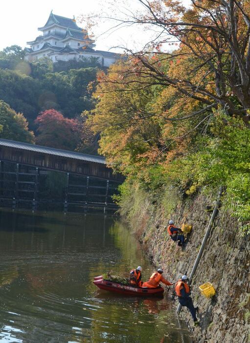 和歌山城の石垣をロープを使って降りる消防隊員ら＝和歌山市