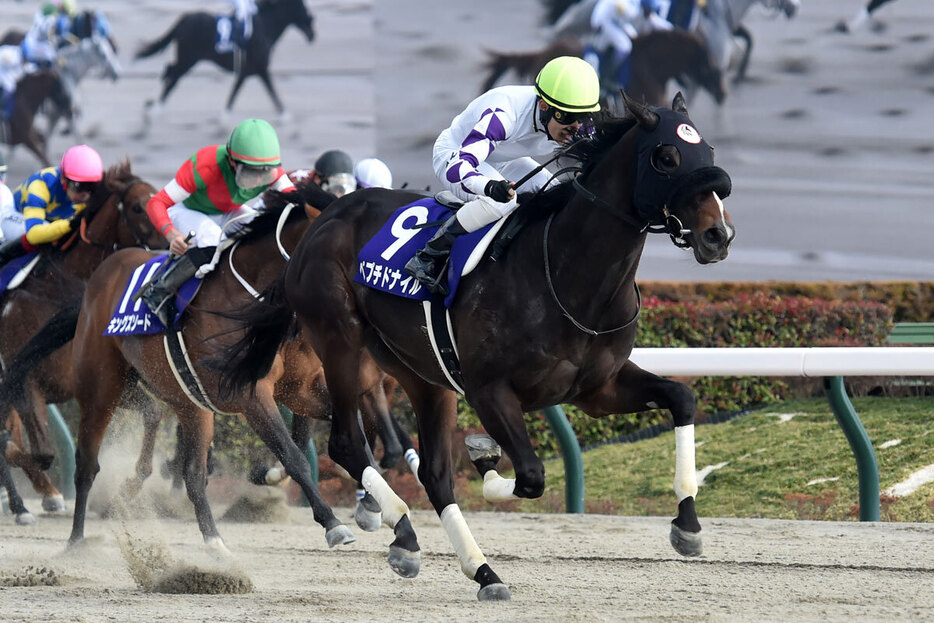 フェブラリーＳを勝ったペプチドナイルの当時の状態は…