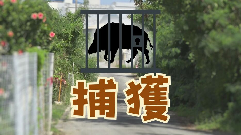 琉球放送