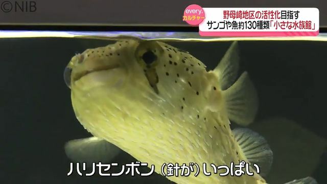 NIB長崎国際テレビ