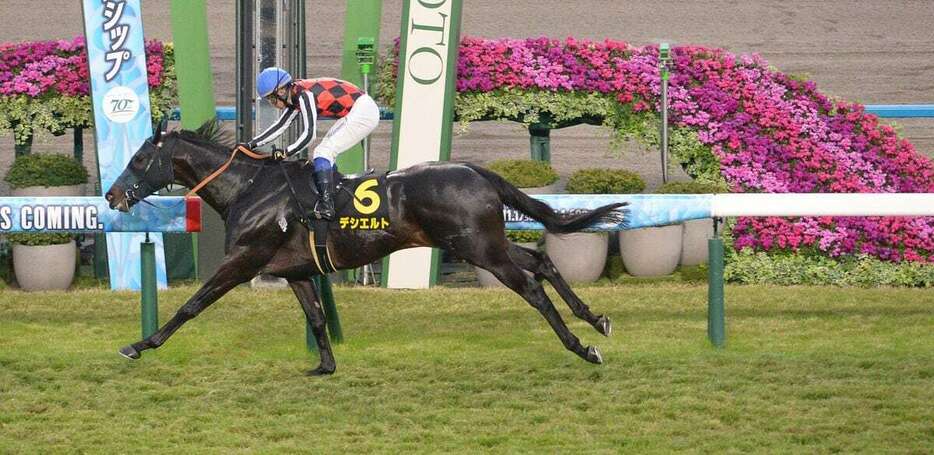 アンドロメダSを逃げ切ったデシエルト＝京都競馬場（撮影・林俊志）