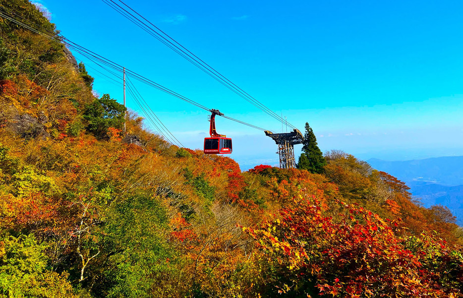 紅葉スポット（イメージ画像／写真AC）