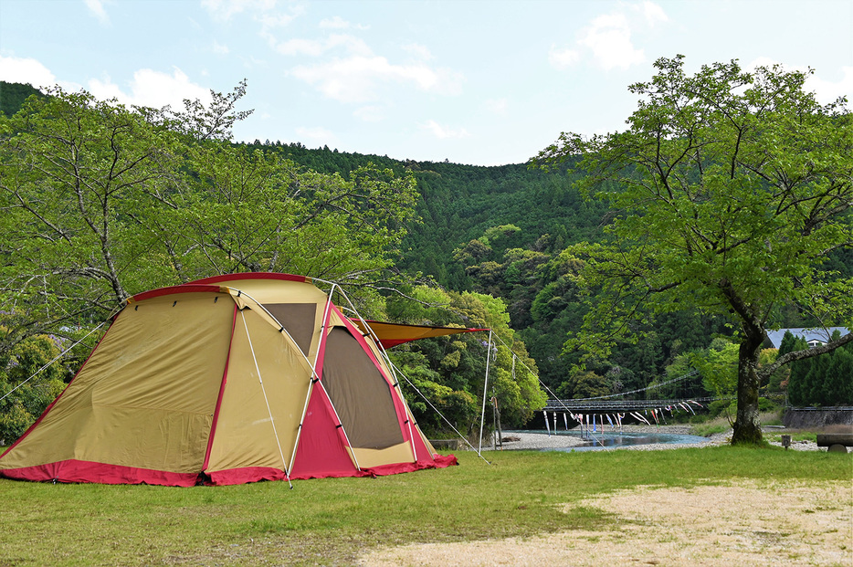 緑豊かな絶景が広がるロケーションのキャンプ場