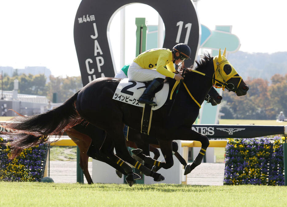 東京2R未勝利で1着のツインピークスと菅原明良騎手（撮影・柴田隆二）