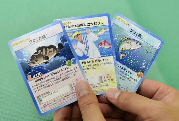 41種類に増えた「愛媛のお魚獲レカ」