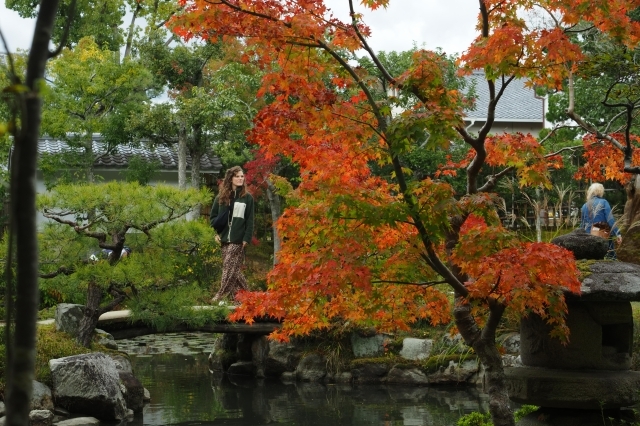 まもなく紅葉が見頃を迎える依水園=18日、奈良市水門町