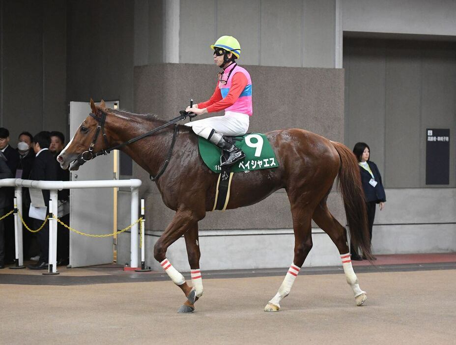 武蔵野Sで4着に敗れたペイシャエス