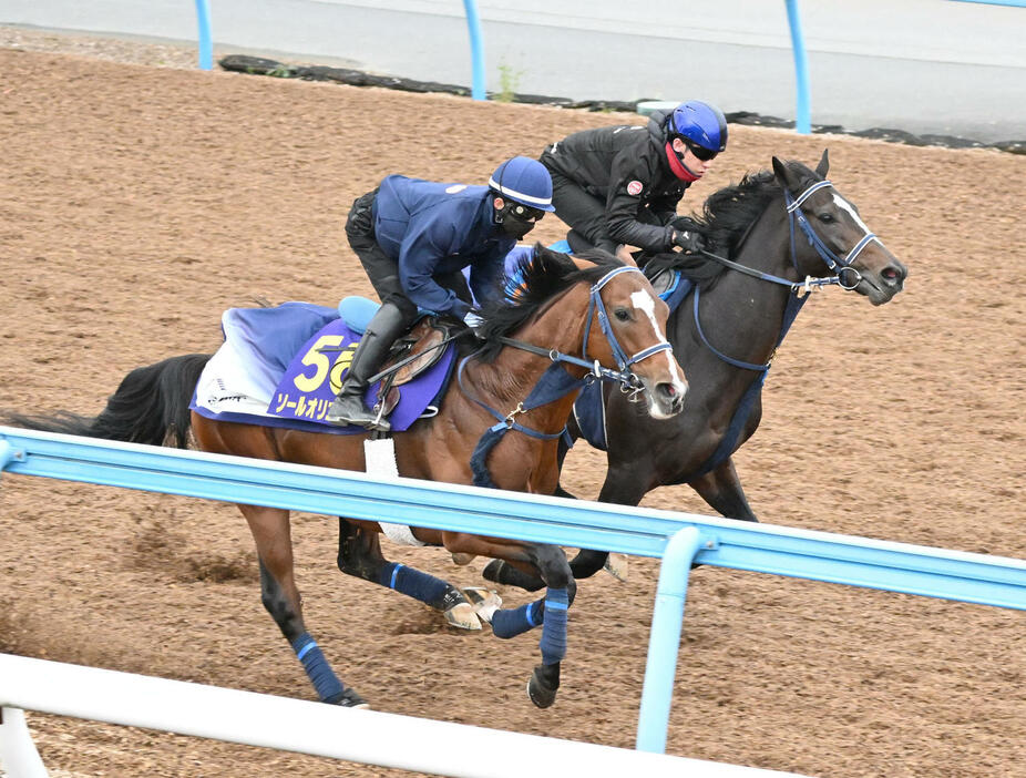 美浦ウッドで2頭併せて追い切るソールオリエンス（左）（撮影・千葉一成）