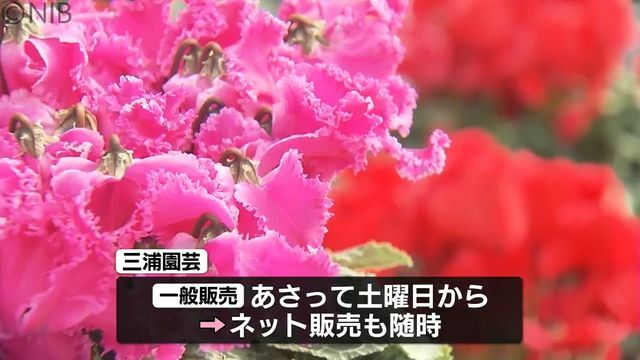 NIB長崎国際テレビ