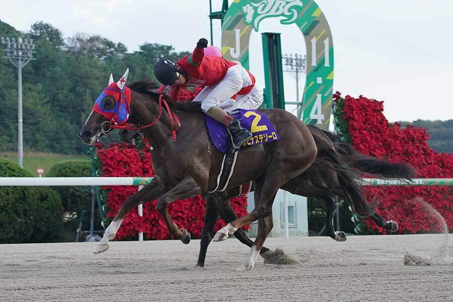 地方ダート競馬の祭典・JBC2024が行われた佐賀競馬場【写真：産経新聞社】