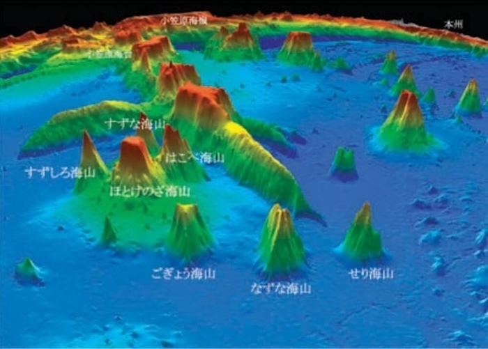 春の七草海山群