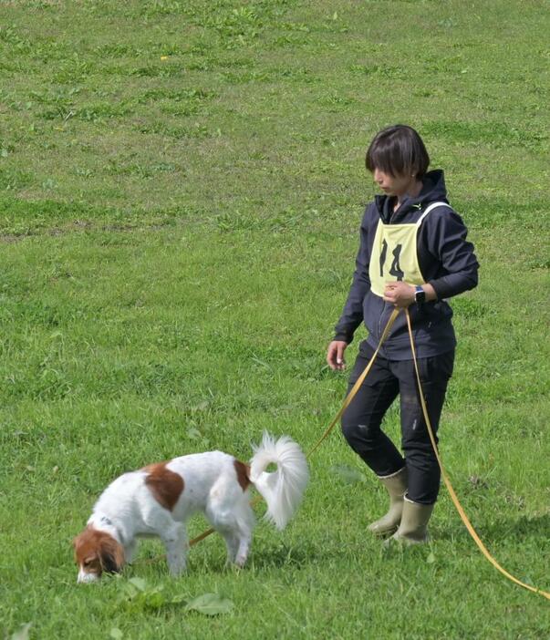 嘱託警察犬の審査に参加した犬と指導士=水戸市中河内町