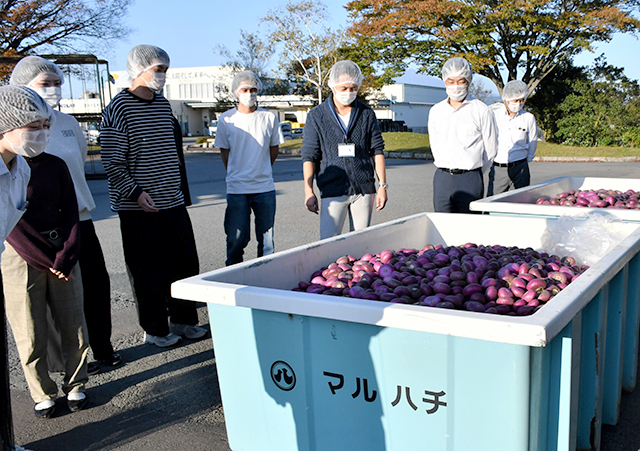 東北芸術工科大の学生らがマルハチ本社工場を訪れ、漬物製造の現場に触れた＝庄内町廿六木