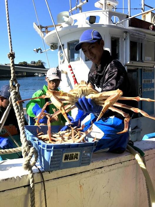 漁が解禁され、次々と水揚げされる越前がに＝11月8日午後0時40分ごろ、福井県越前町の越前漁港