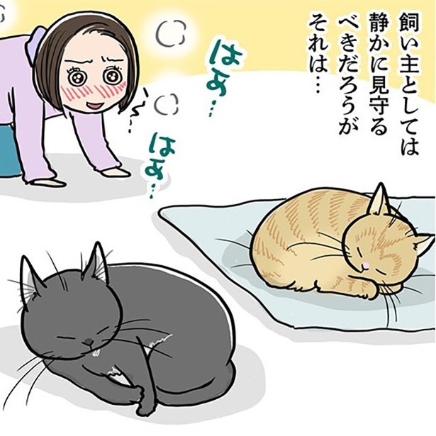 寒くなってくると…猫飼いさんが抑えられない、“欲求”とは？