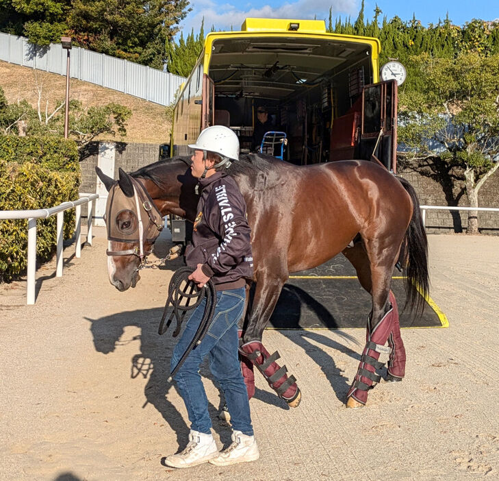 大井のミックファイアが中京競馬場に到着（カメラ・山本　武志）