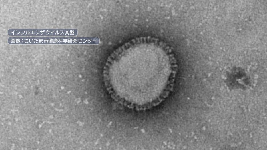 画像：さいたま市健康科学研究センター