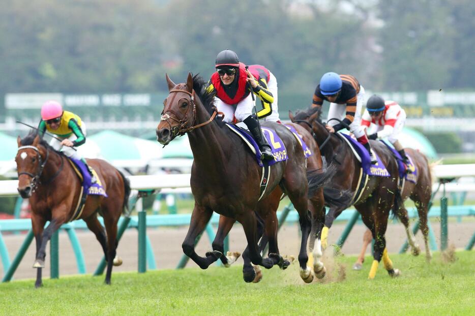 皐月賞のゴールに飛び込むドゥラメンテ（左はクラリティシチー、右奥はキタサンブラック）＝2015年4月19日（写真：中原義史/アフロ）