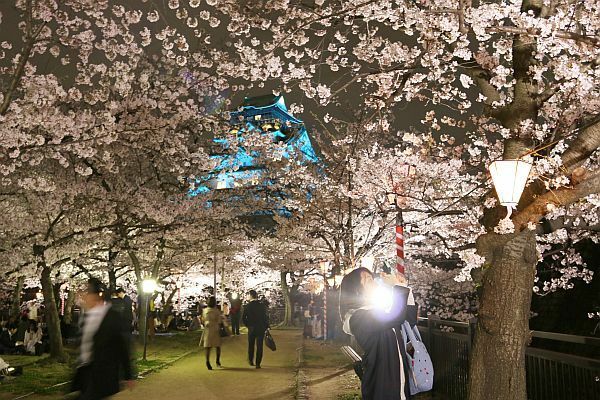 [写真]満開のサクラの向こうに世界自閉症啓発デーに合わせブルーライトアップされた大阪城が見えた=2日夜、大阪市中央区で