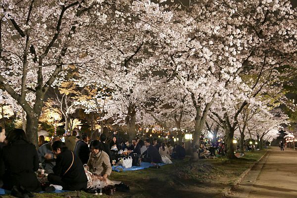 [写真]大阪城のライトアップを眺めながらの花見を多くの人が楽しんでいた=2日夜、大阪市中央区で