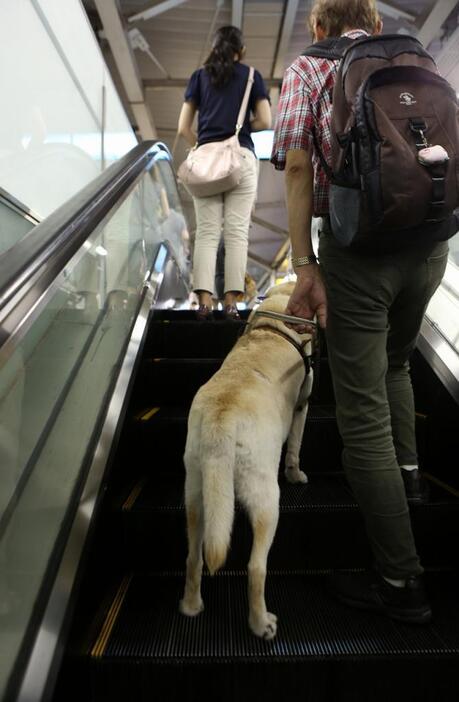 [写真]被害男性らが犯行現場と考える駅のエスカレーターで。下からは刺されたお尻の上あたりが無防備なようにも見える