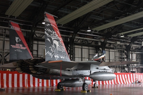 [写真]201飛行隊による航空自衛隊F-15Jの記念塗装機（小山英之氏）