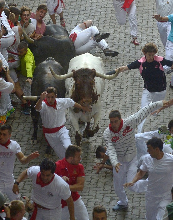 牛の目の前を疾走する参加者たち＝2015年7月7日（写真：ロイター/アフロ）