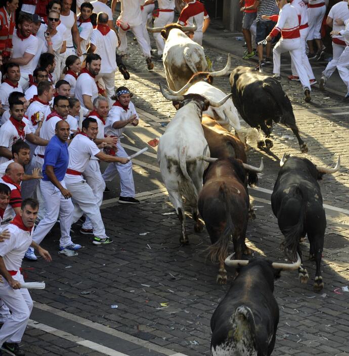 列をなし走る牛＝2015年7月7日（写真：ロイター/アフロ）