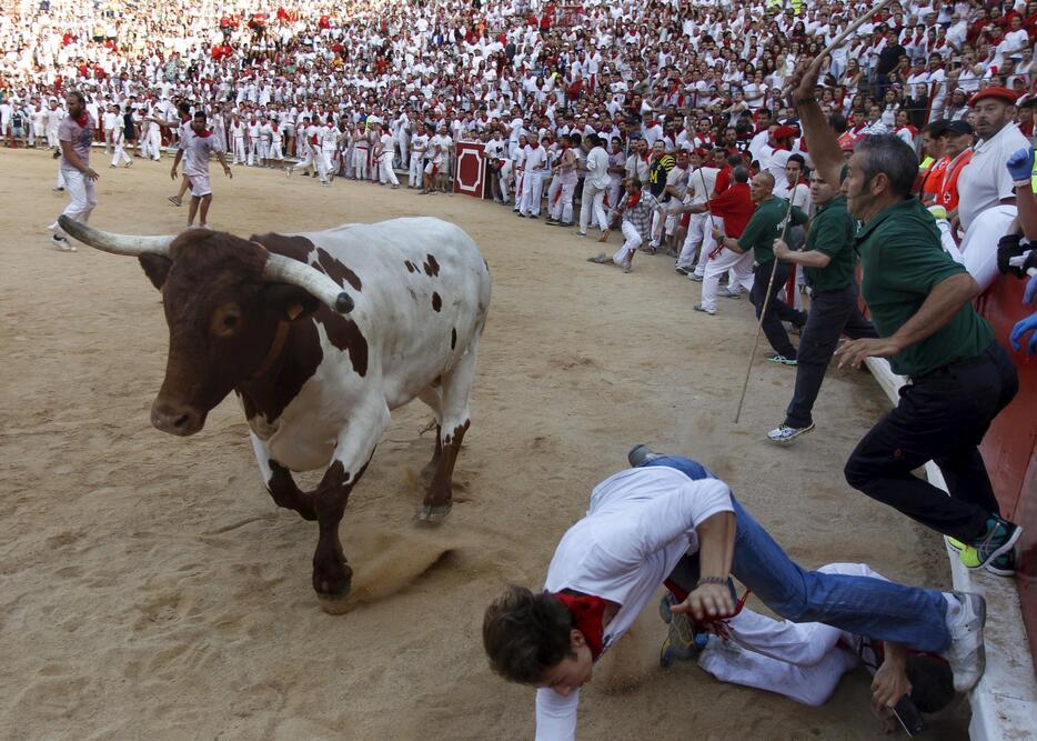 闘牛場にたどり着いた牛＝2015年7月7日（写真：ロイター/アフロ）